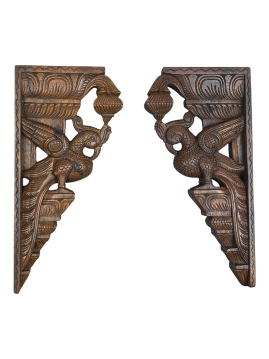 Wooden Parrot wall bracket