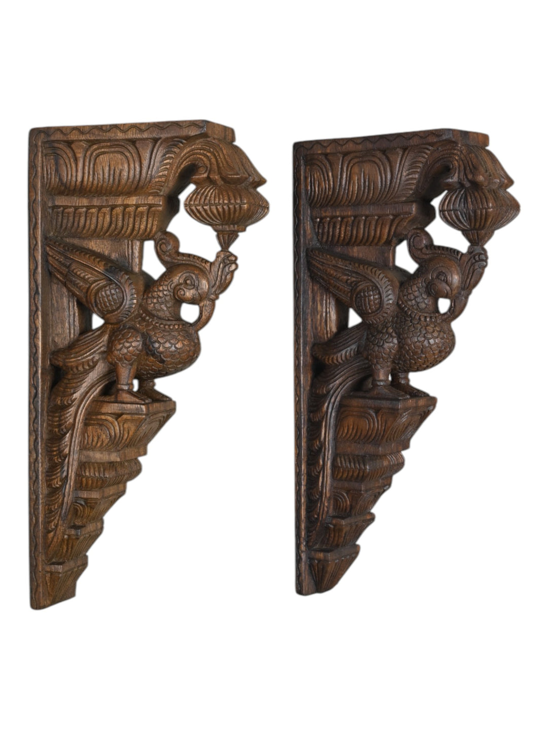 Wooden Parrot wall bracket