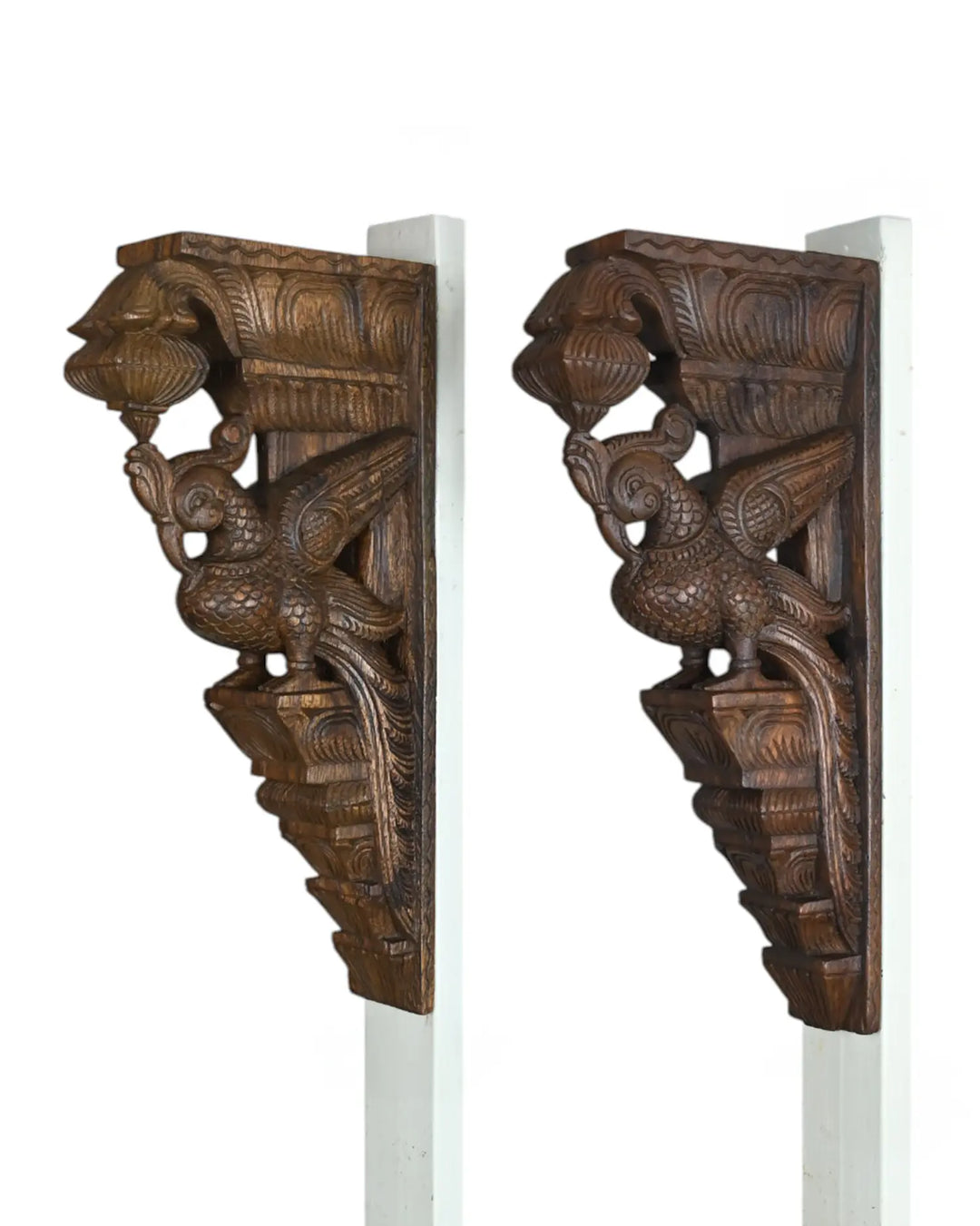 Wooden Parrot wall bracket
