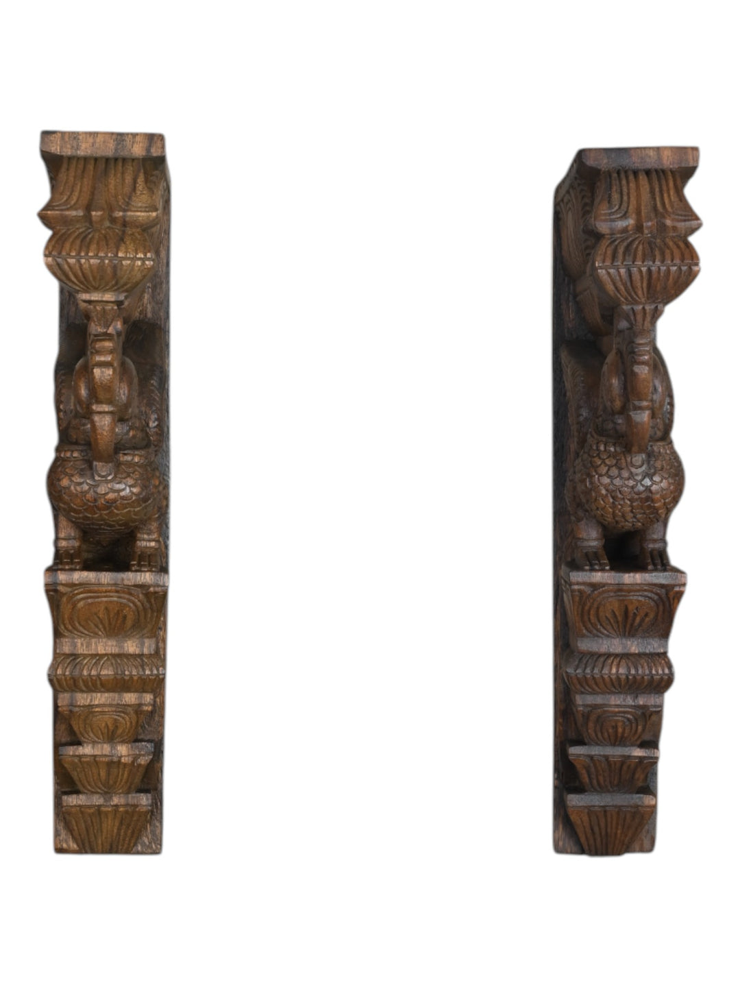 Paired Parrot Wall Brackets 18"