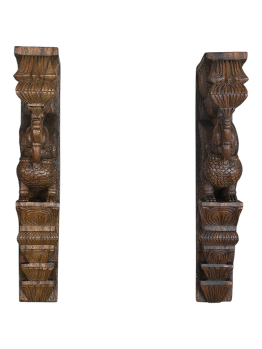 Paired Parrot Wall Brackets 18"