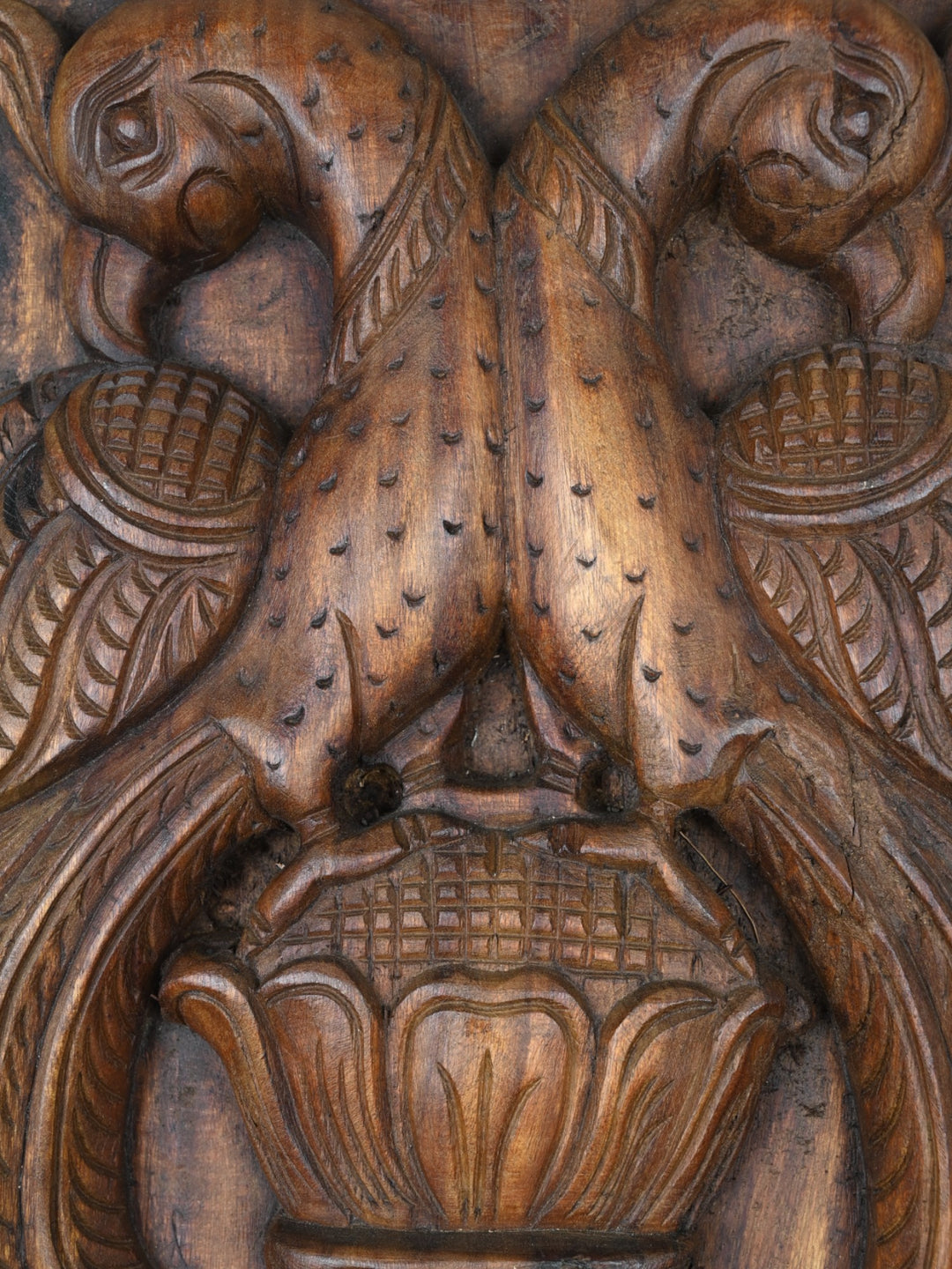 Hand-Carved Wooden Twin Parrots Wall Frame 18"