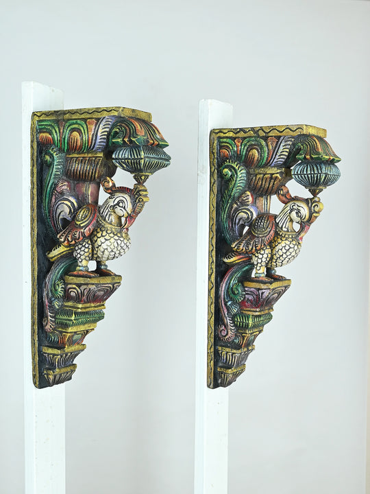 Parrot wooden wall brackets