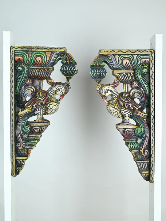 Parrot wooden wall brackets
