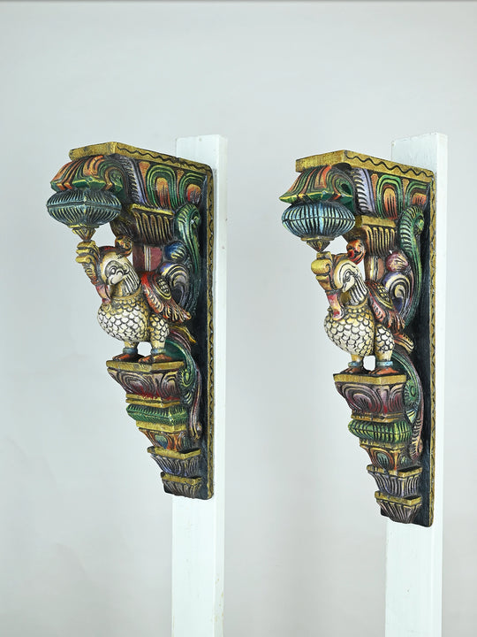Parrot wooden wall brackets