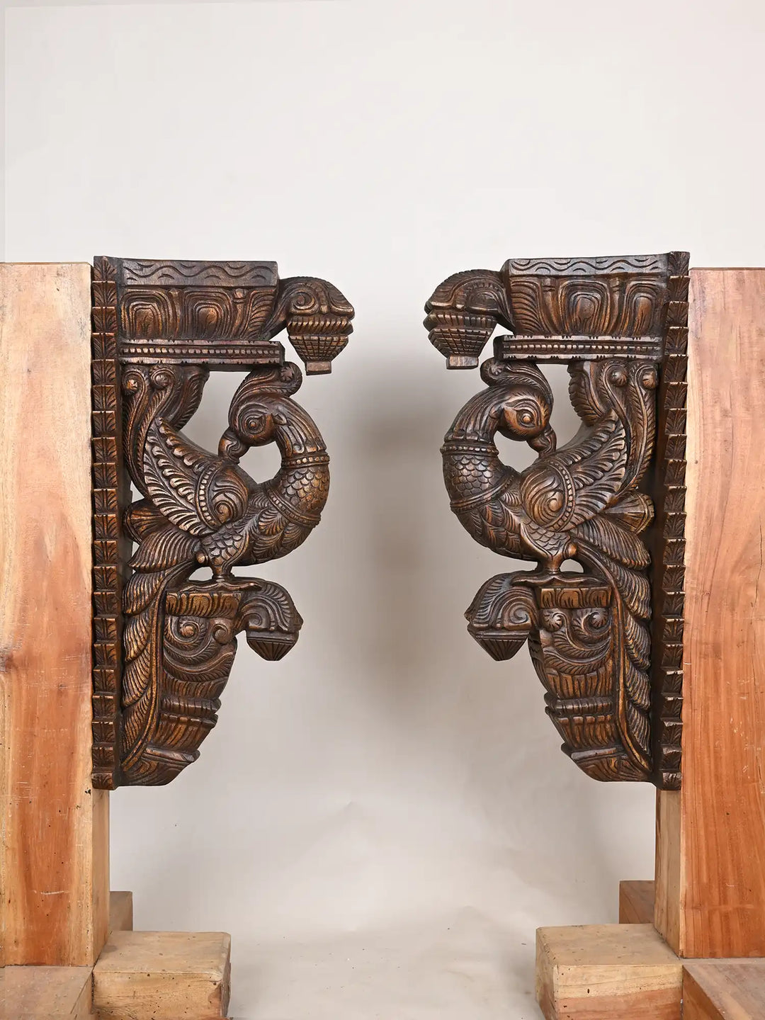 Wooden parrot wall brackets