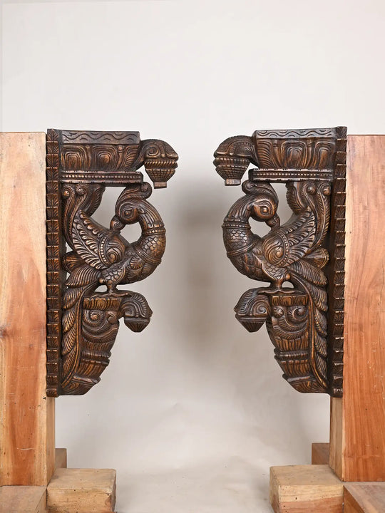 Wooden parrot wall brackets