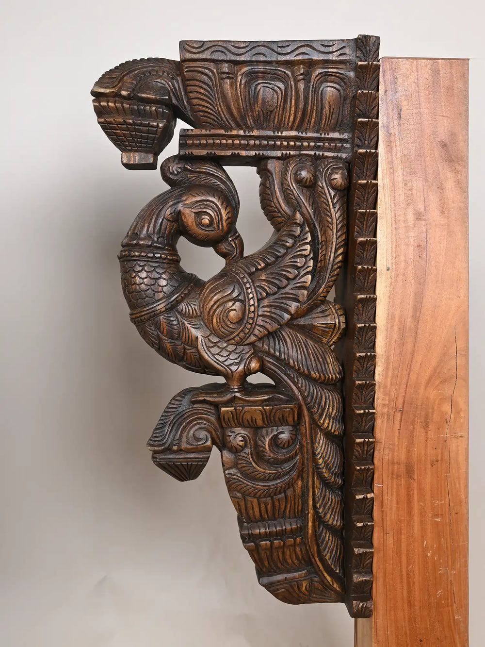 Wooden parrot wall brackets
