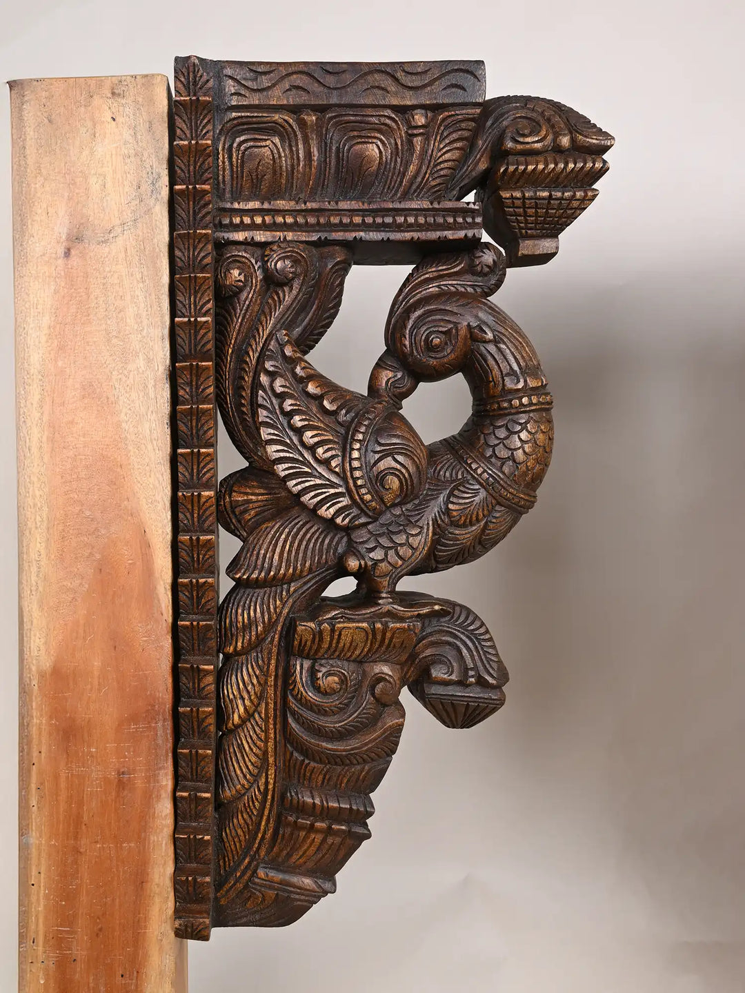 Wooden parrot wall brackets