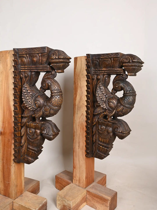 Paired Parrot Wall Brackets 24"