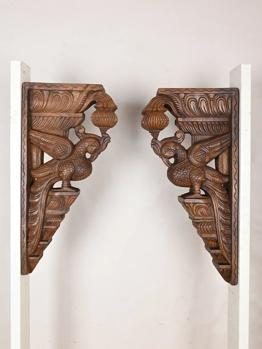 Wooden parrot brackets