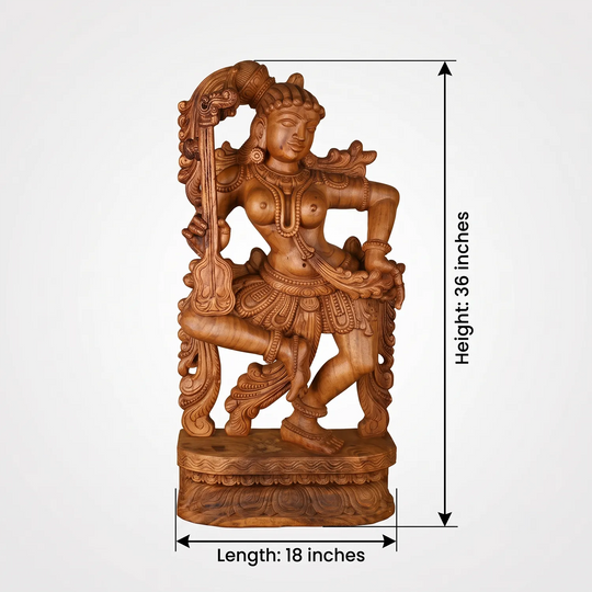 Dimensions & Product Specifications