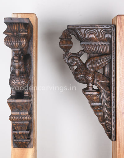 Decor For Entrances Two Parrots with Beautiful plumages Wooden Wall Brackets 18"