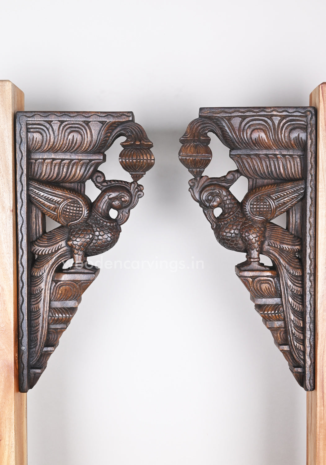 Decor For Entrances Two Parrots with Beautiful plumages Wooden Wall Brackets 18"