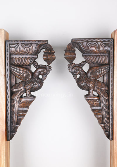 Decor For Entrances Two Parrots with Beautiful plumages Wooden Wall Brackets 18"