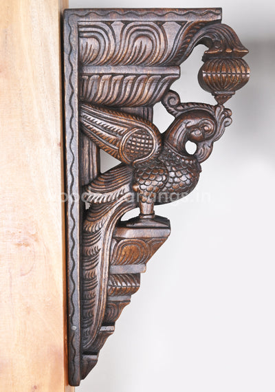 Decor For Entrances Two Parrots with Beautiful plumages Wooden Wall Brackets 18"