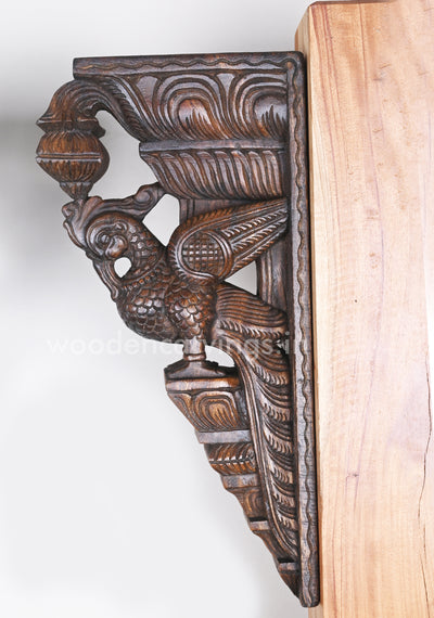 Decor For Entrances Two Parrots with Beautiful plumages Wooden Wall Brackets 18"