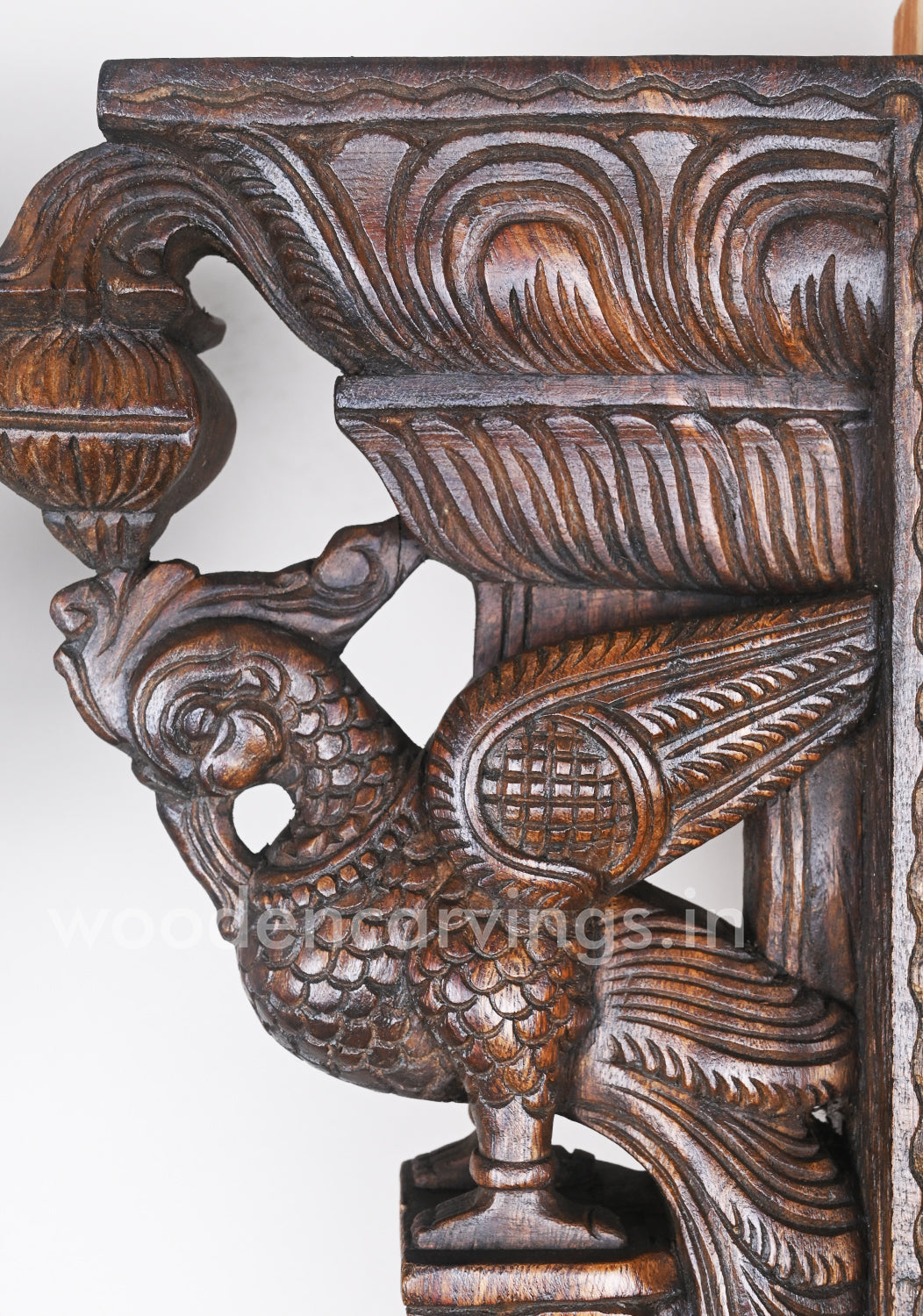 Decor For Entrances Two Parrots with Beautiful plumages Wooden Wall Brackets 18"
