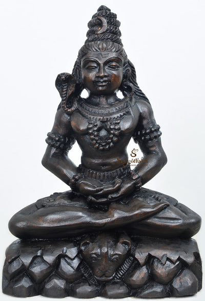 Shankara seated on Tiger skin Doing Thyana 12"