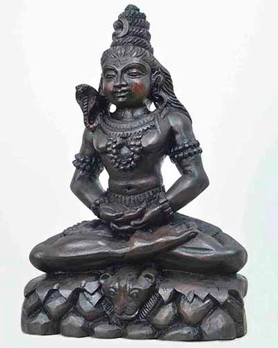 Shankara seated on Tiger skin Doing Thyana 12"