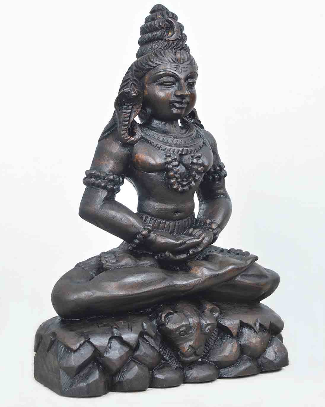 Shankara seated on Tiger skin Doing Thyana 12"