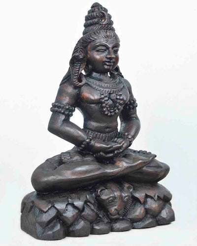 Shankara seated on Tiger skin Doing Thyana 12"